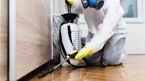 Best Termite Inspection and Treatment  in La Grange, IL